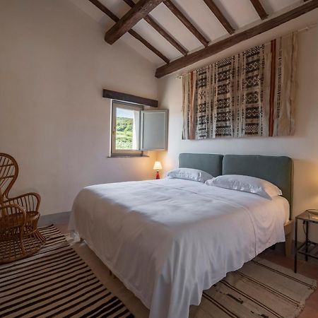 Locanda Fontelupa Campagnatico 客房 照片